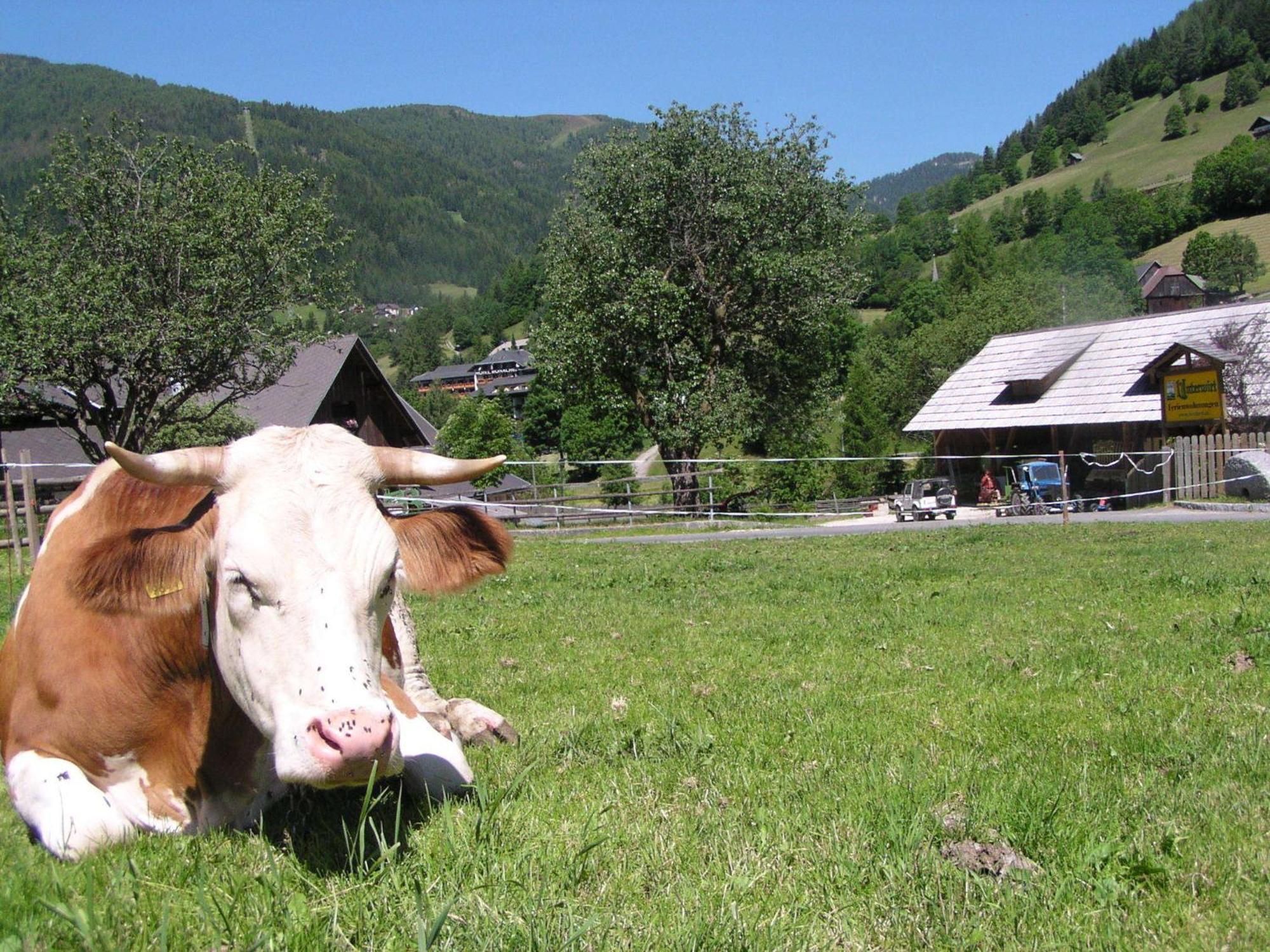 Unterwirt Apartamento Bad Kleinkirchheim Exterior foto